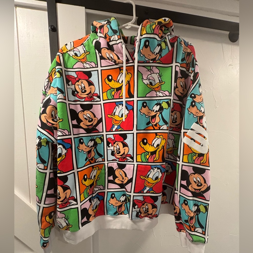 Disney Parks character hoodie Never worn or washed 🎠